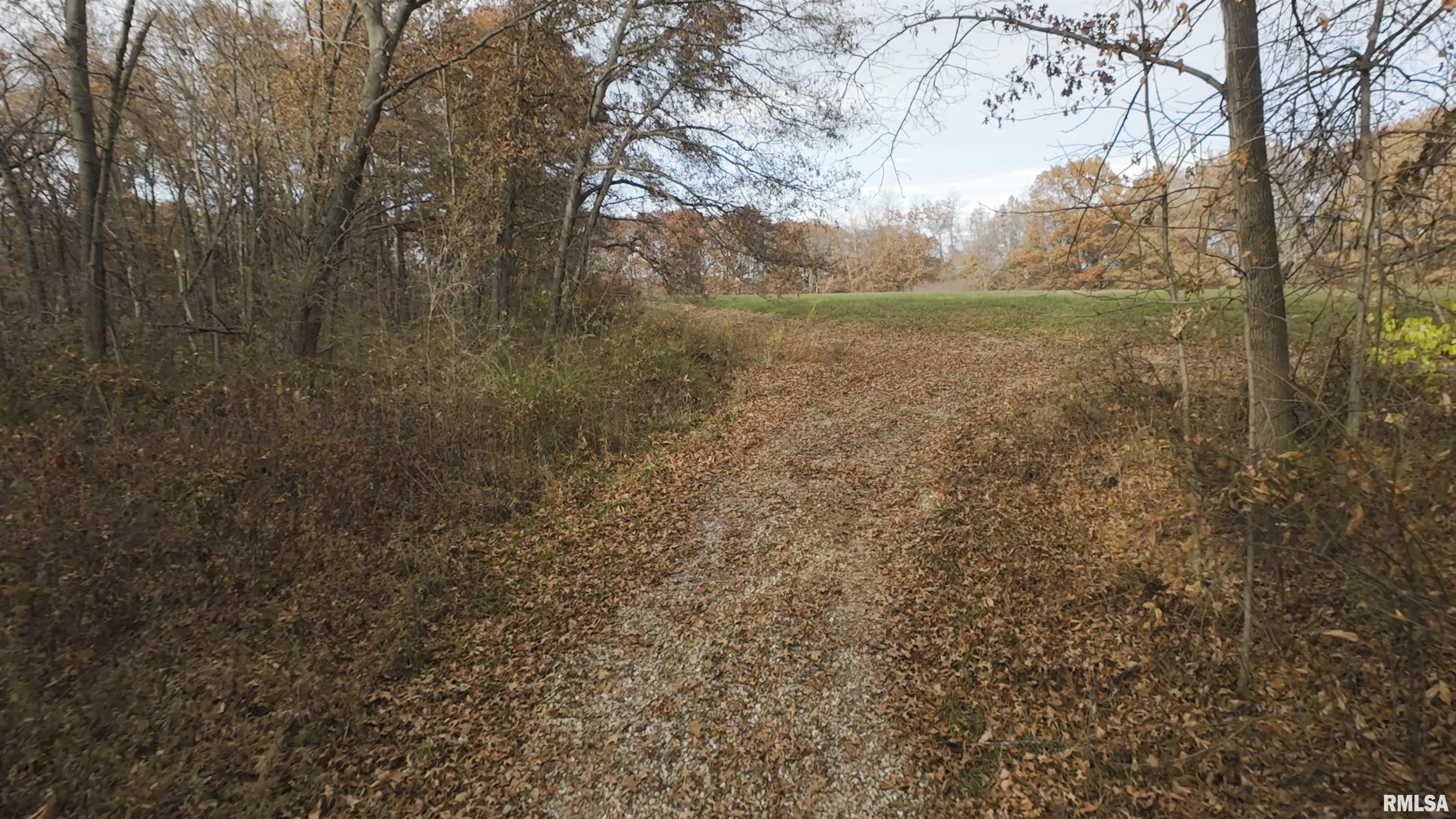 0 West Smithville Road Trivoli, IL 61569 - Photo 29 of 37