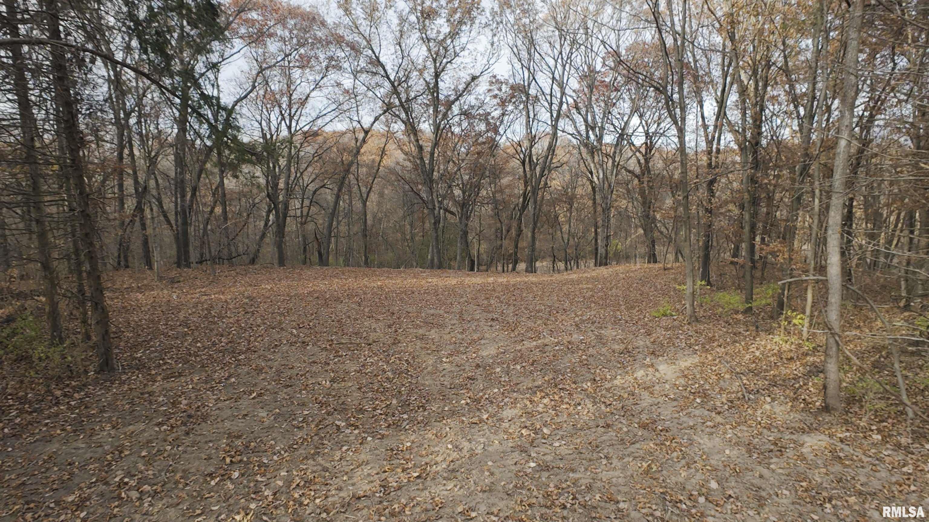 0 West Smithville Road Trivoli, IL 61569 - Photo 3 of 37