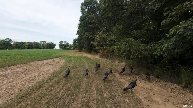 $495,600 | 0 West Smithville Road, Trivoli, IL 61569