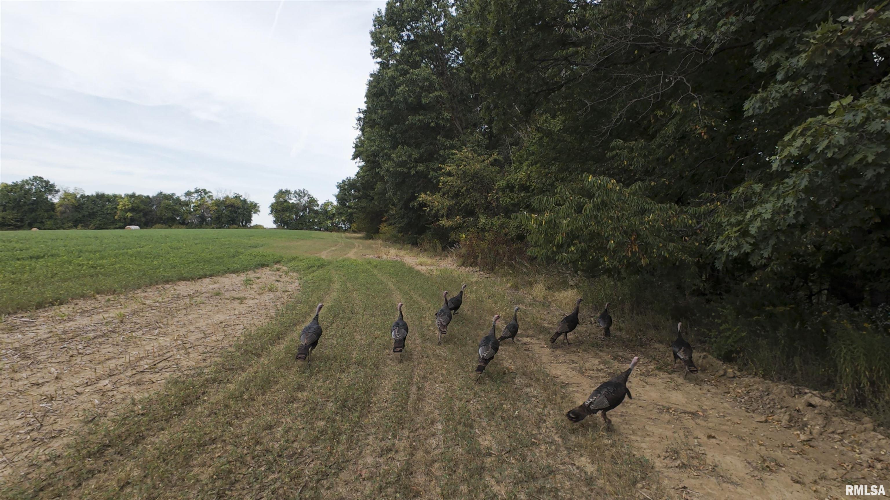 0 West Smithville Road Trivoli, IL 61569 - Photo 31 of 37