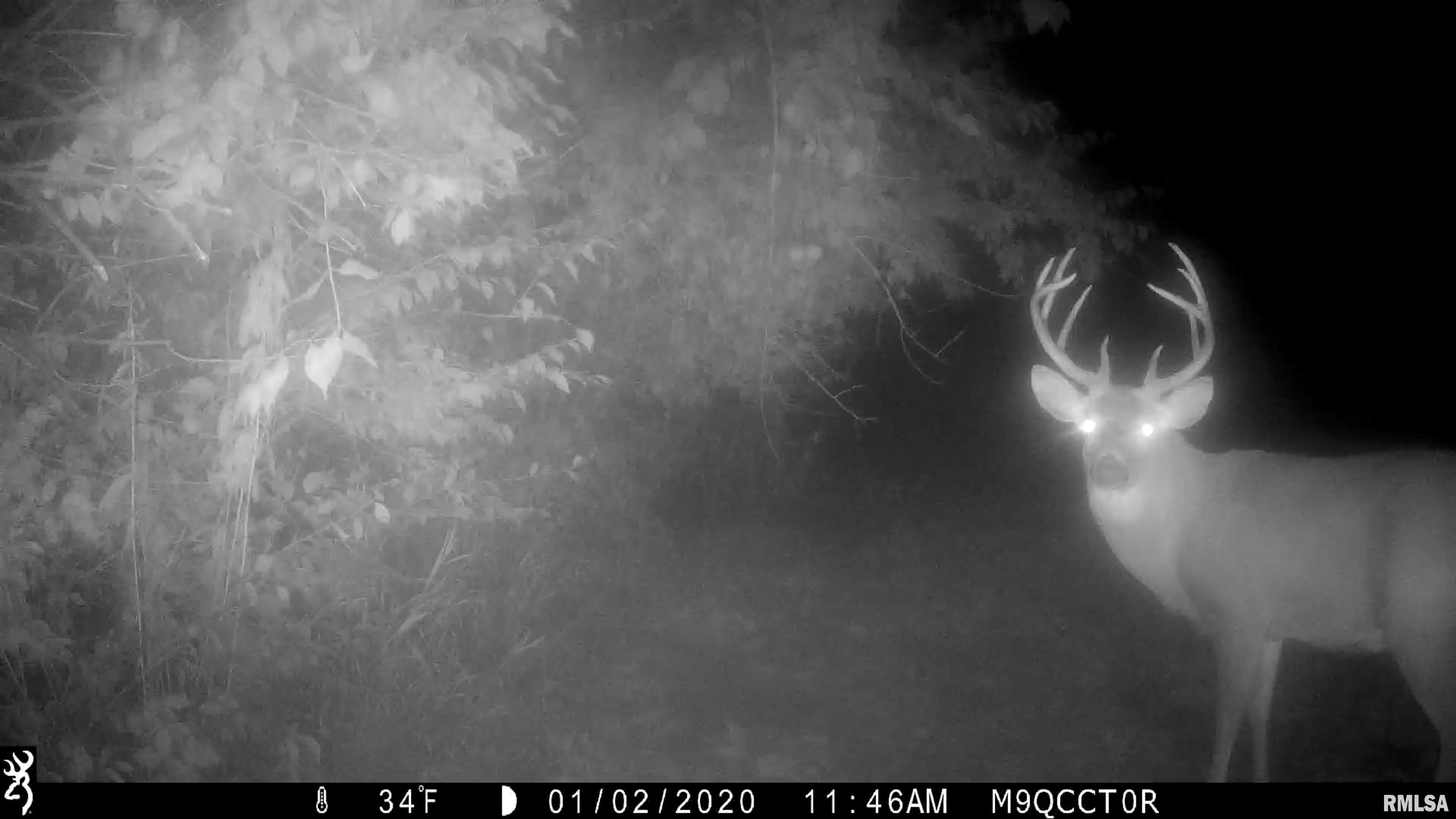 0 West Smithville Road Trivoli, IL 61569 - Photo 32 of 37