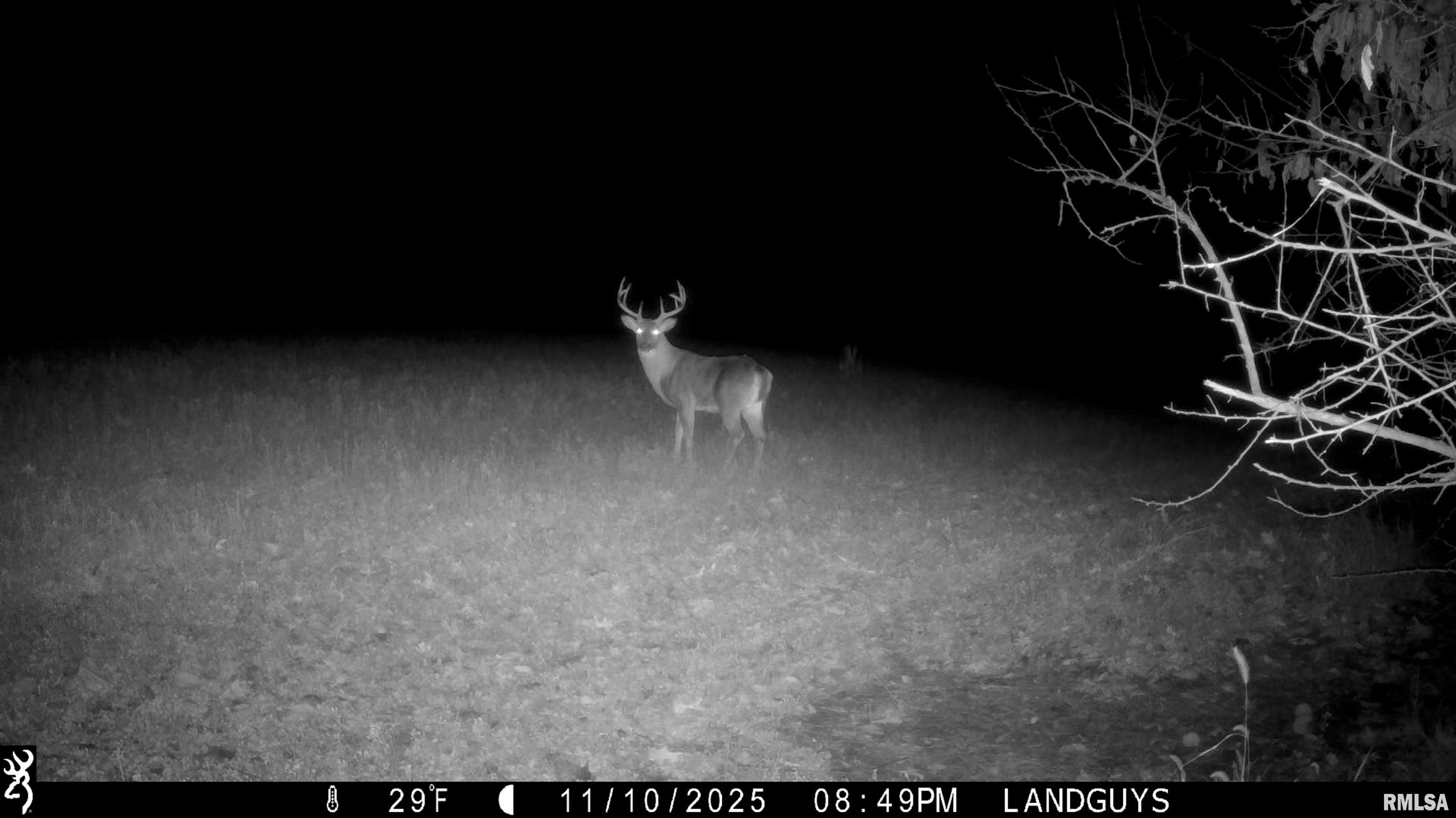 0 West Smithville Road Trivoli, IL 61569 - Photo 33 of 37