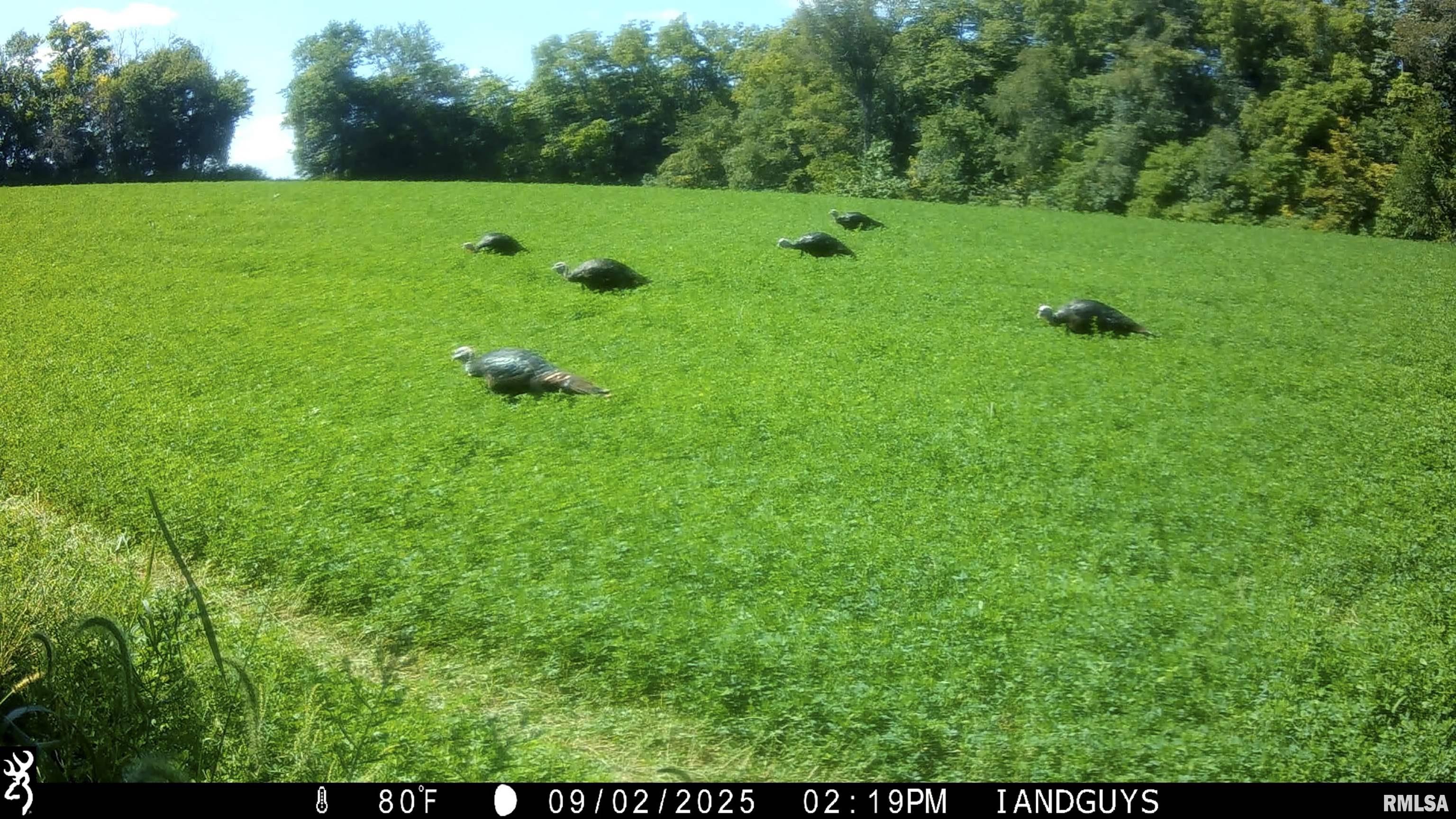 0 West Smithville Road Trivoli, IL 61569 - Photo 37 of 37