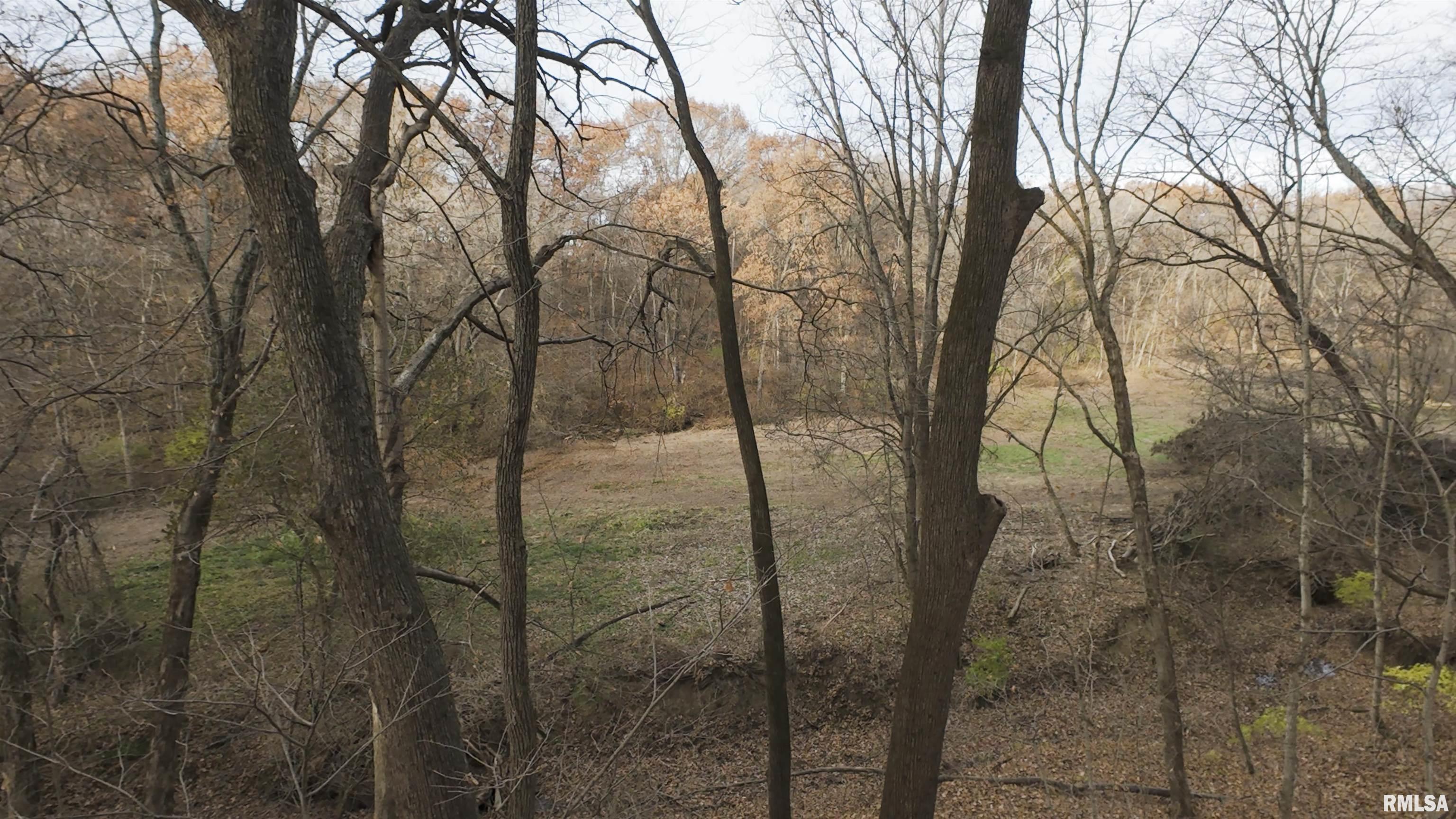 0 West Smithville Road Trivoli, IL 61569 - Photo 4 of 37