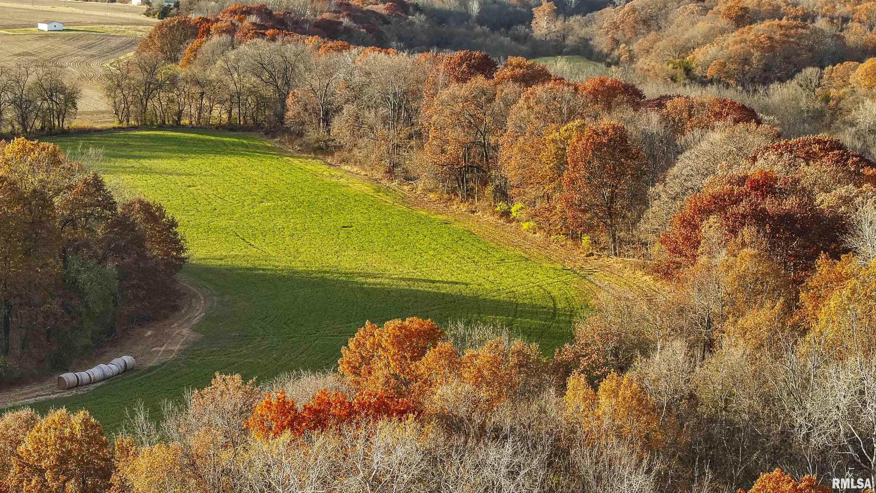 0 West Smithville Road Trivoli, IL 61569 - Photo 5 of 37