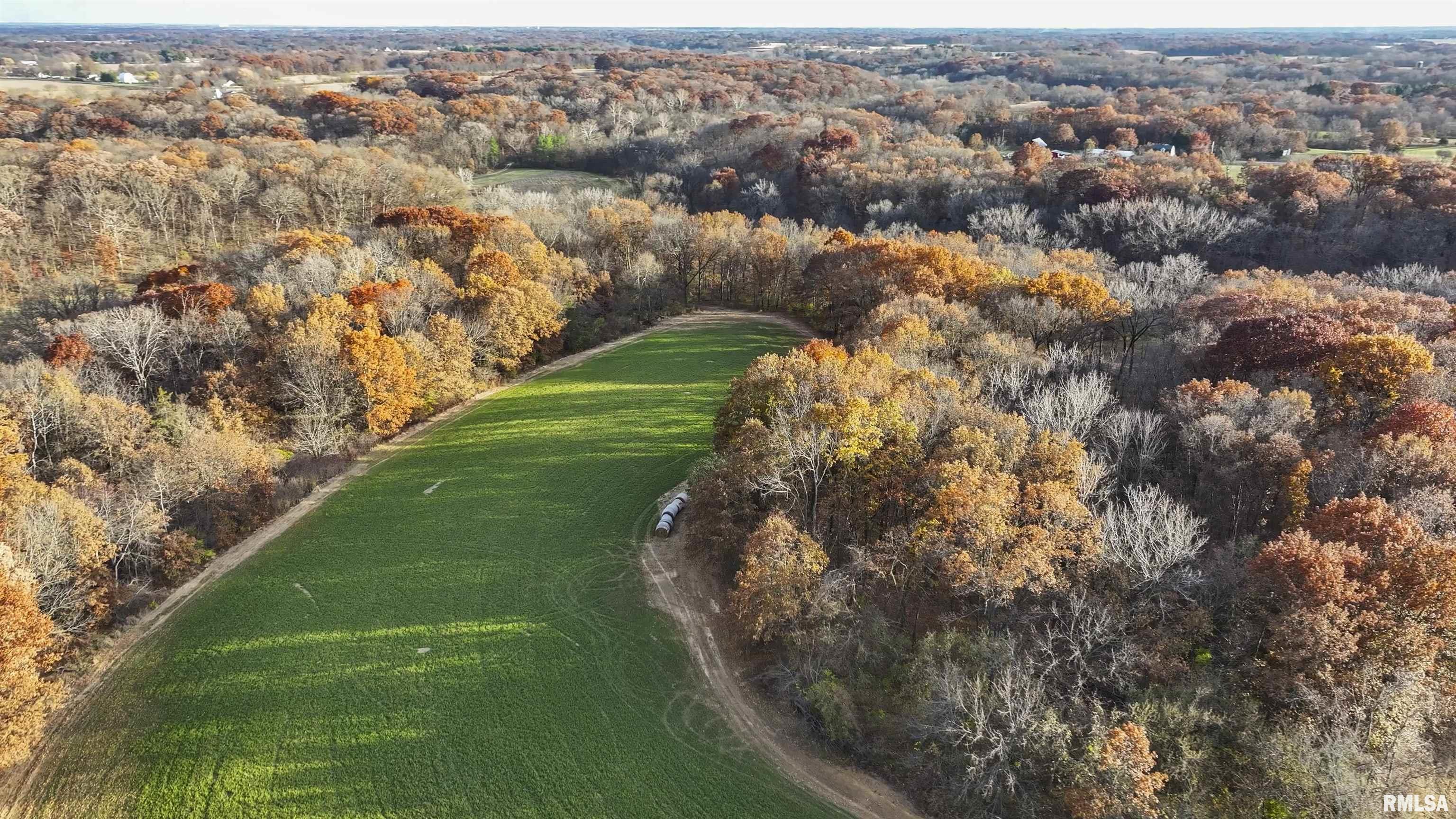 0 West Smithville Road Trivoli, IL 61569 - Photo 6 of 37