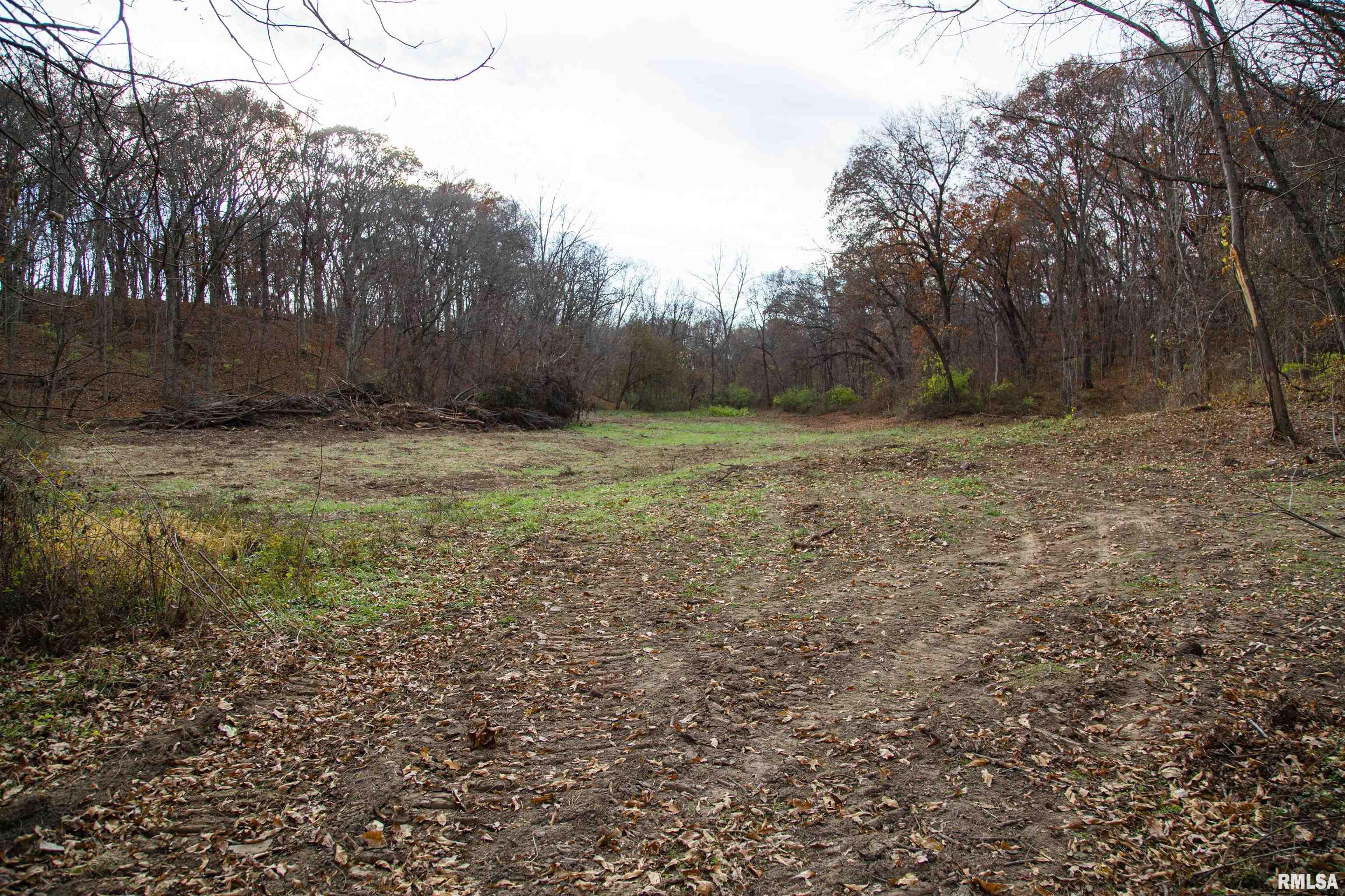 0 West Smithville Road Trivoli, IL 61569 - Photo 7 of 37