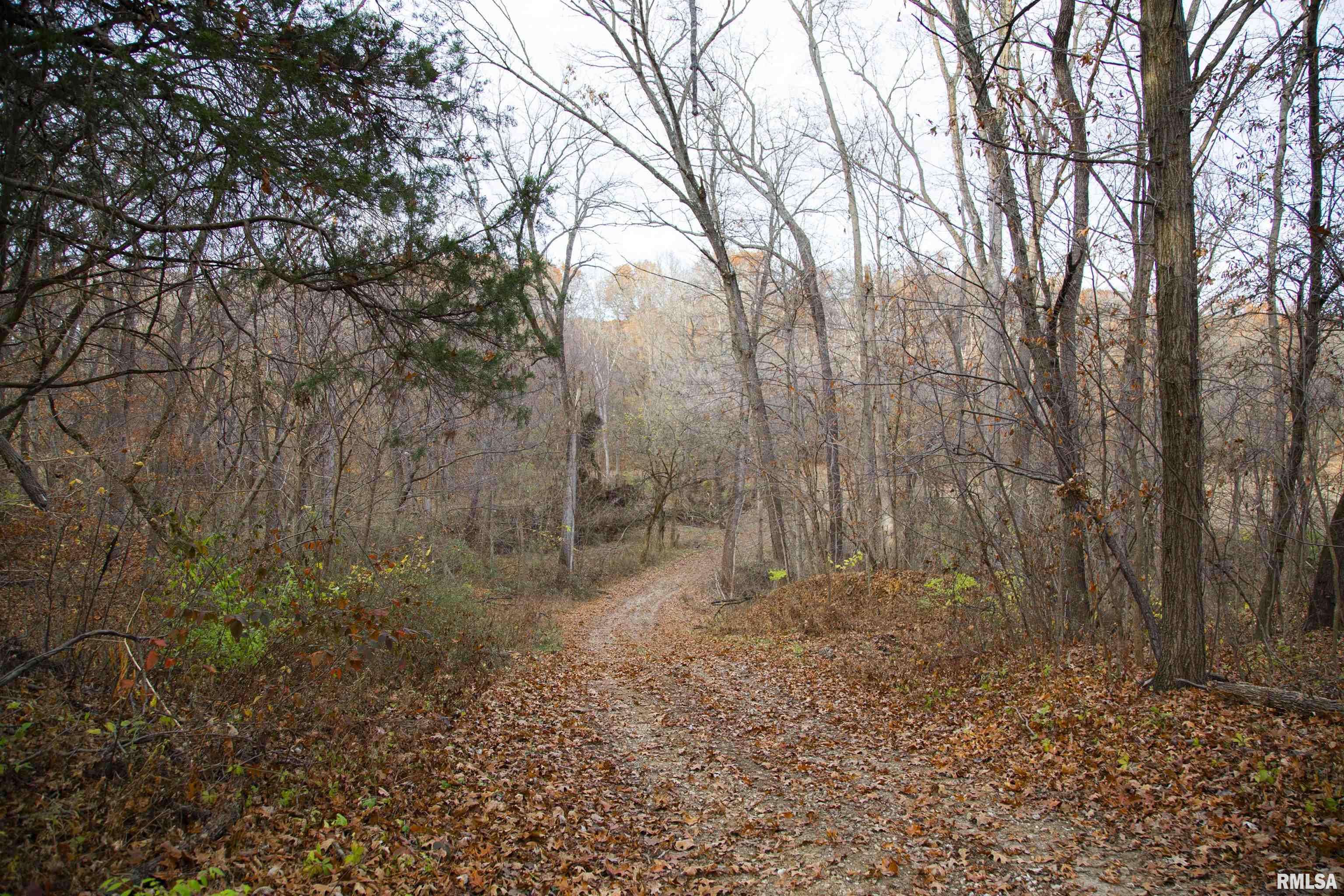 0 West Smithville Road Trivoli, IL 61569 - Photo 10 of 37