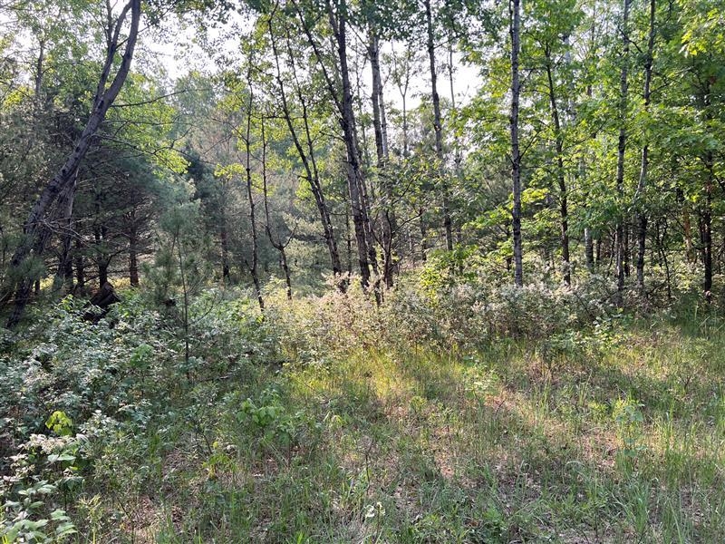 47 South 47 3/4 Road Cadillac, MI 49601 - Photo 32 of 59