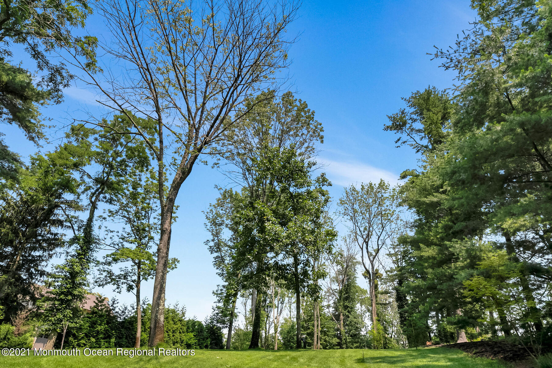 31 Clover Hill Road Colts Neck, NJ 07722 - Photo 40 of 44 31 Clover Hill Rd Colts Neck NJ 07722 US