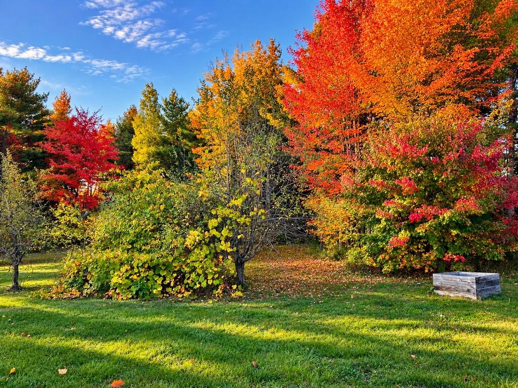 241 Baker Brook Road Bradley, ME 04411 - Photo 66 of 106 Lawn 2 (251-BBR-Bradley) (Copy)