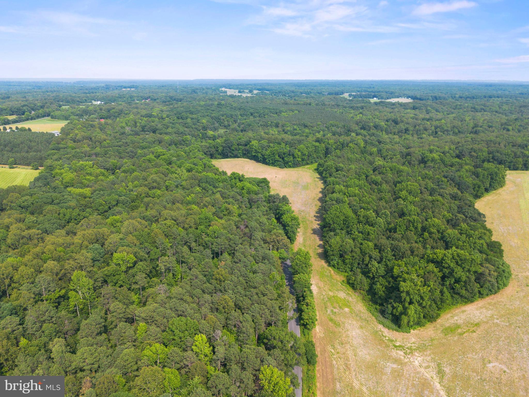 Lot 17 Salem Church Road King George, VA 22485 - Photo 2 of 10 a view of a lake with a mountain in the background
