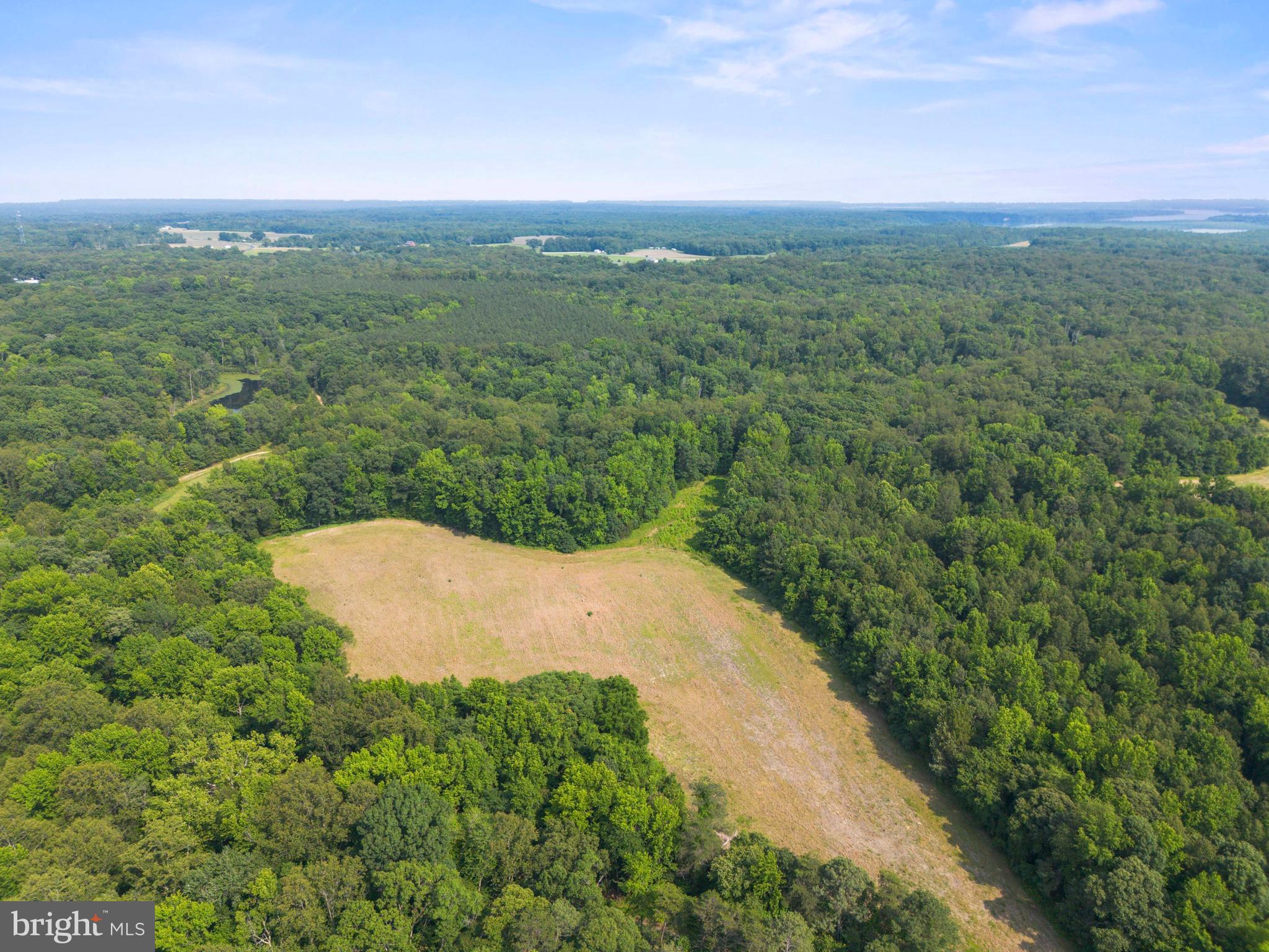 Lot 17 Salem Church Road King George, VA 22485 - Photo 5 of 10 a view of a green field with lots of green space in it