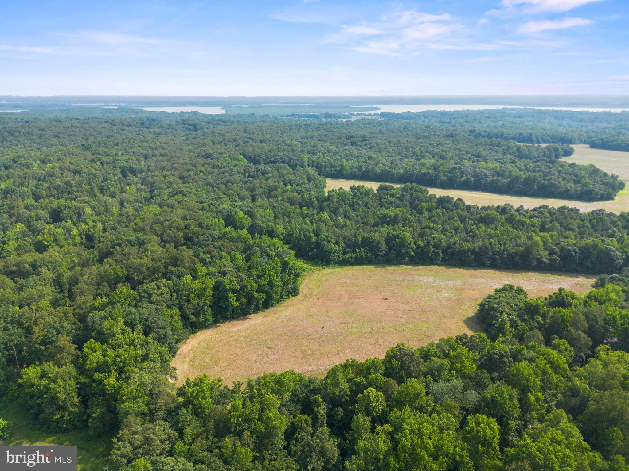 Lot 17 Salem Church Road King George, VA 22485 - Photo 6 of 10 a view of a field with an ocean