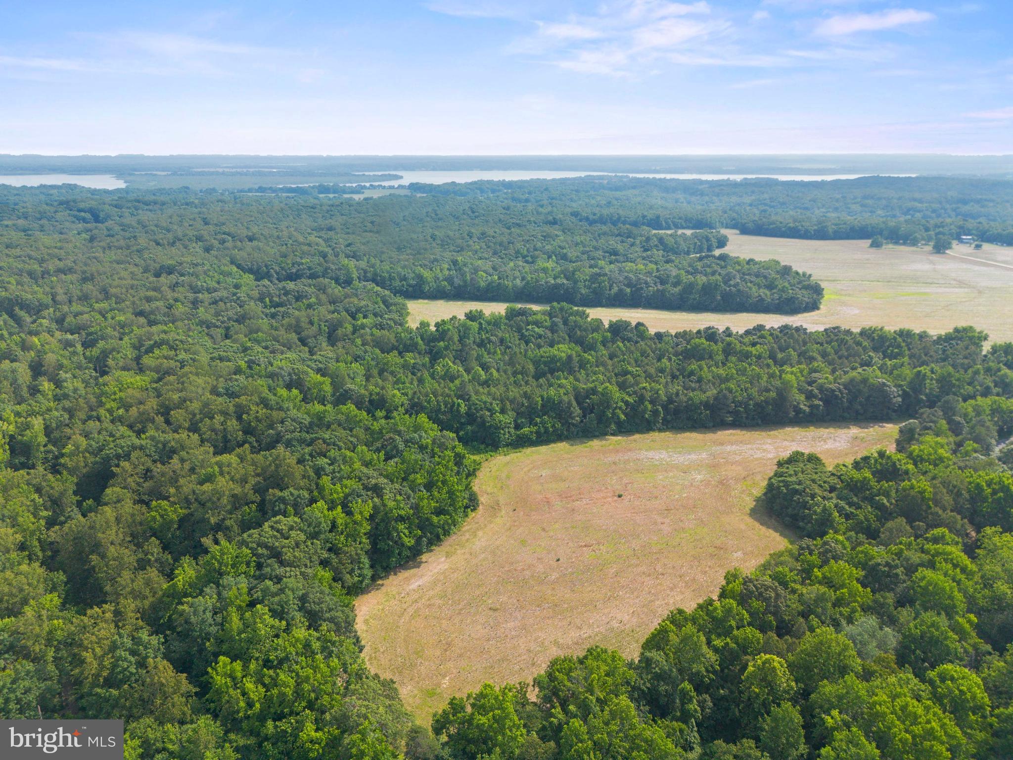 Lot 17 Salem Church Road King George, VA 22485 - Photo 7 of 10 a view of a lake with a yard