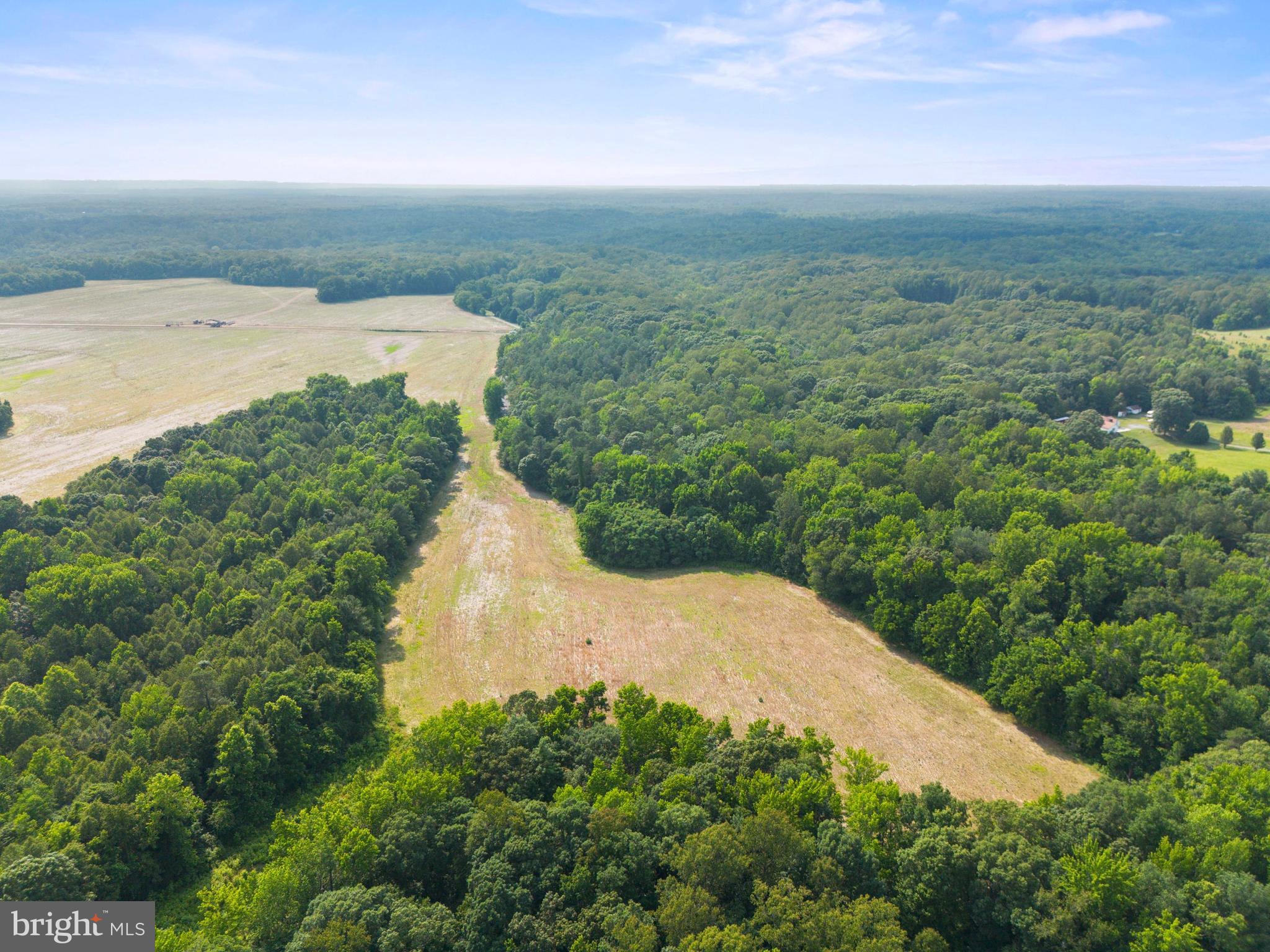 Lot 17 Salem Church Road King George, VA 22485 - Photo 8 of 10 an aerial view of a house