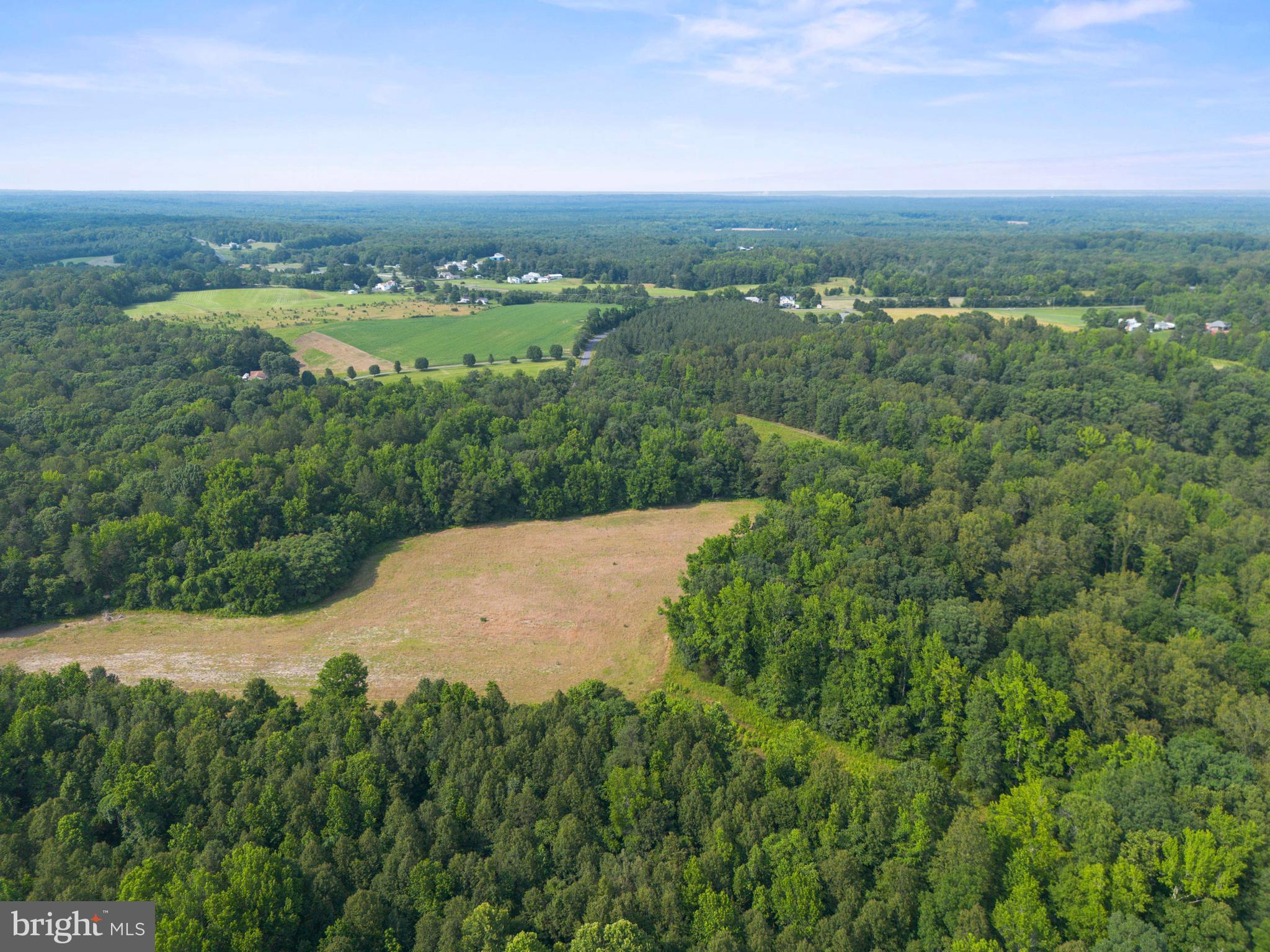 Lot 17 Salem Church Road King George, VA 22485 - Photo 9 of 10 a view of a field