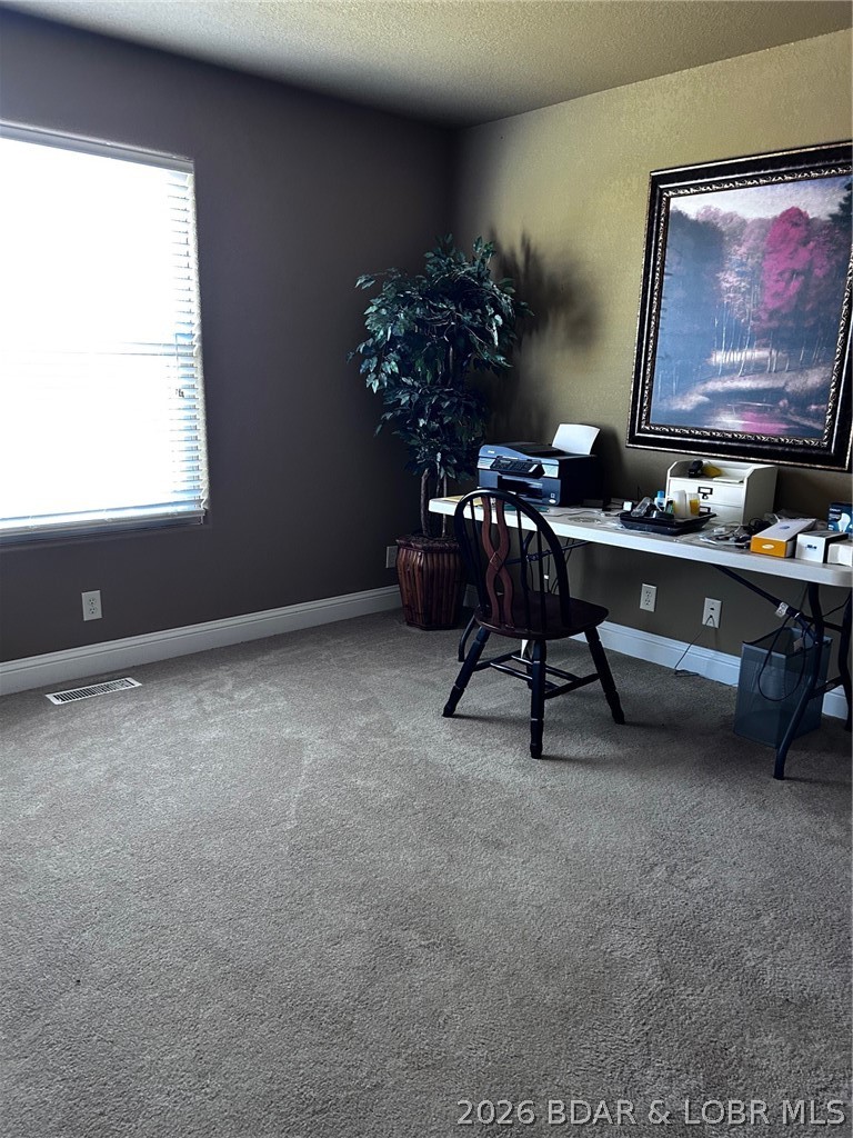 80 Brown Homestead Road Brumley, MO 65017 - Photo 2 of 10