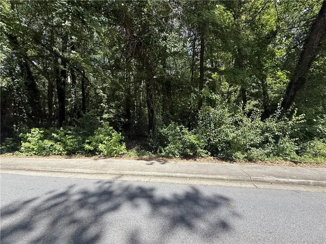 a view of a yard from a window