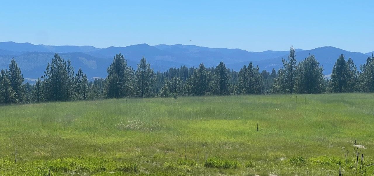 3635 B Breckenridge Road Rice, WA 99167 - Photo 7 of 16