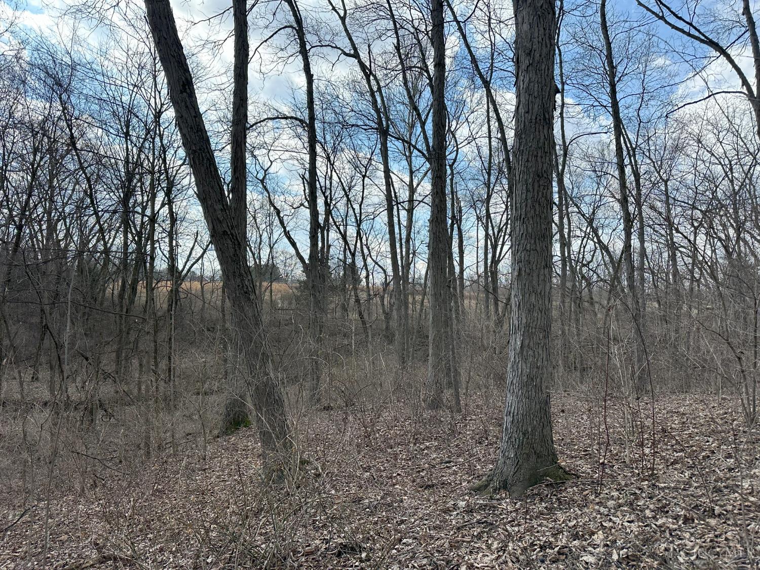 0 Wilson Road Winchester, OH 45697 - Photo 66 of 69