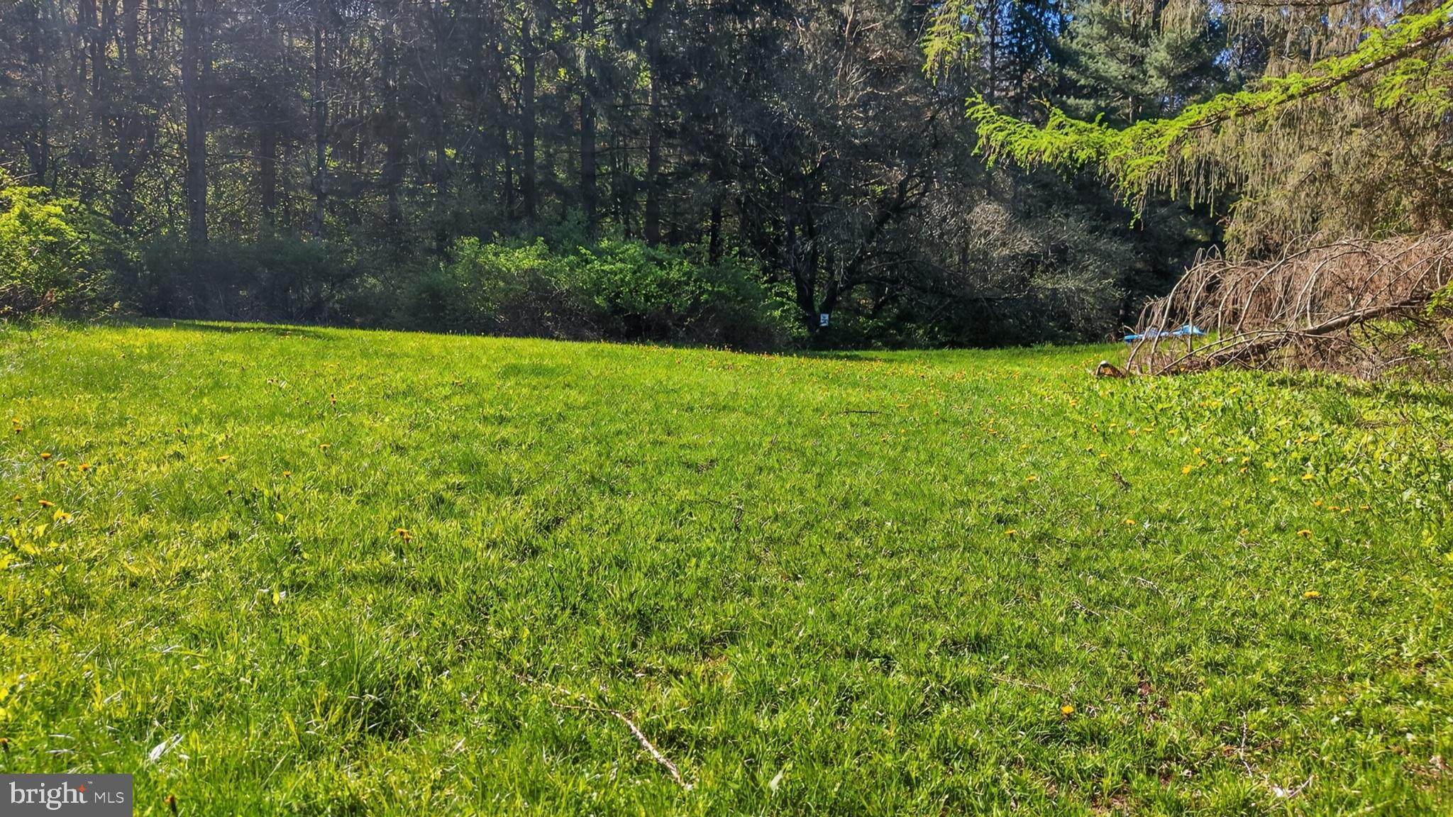 259 A A-Frame Road Coudersport, PA 16915 - Photo 106 of 130 Serene green space awaits your vision.