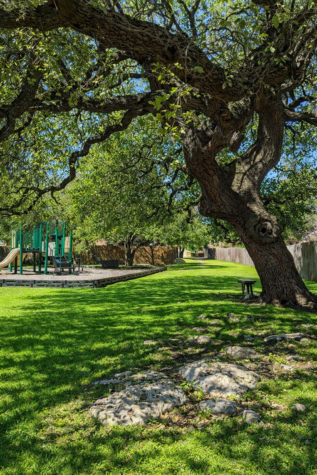 3451 Mayfield Ranch Boulevard, Unit 216 Round Rock, TX 78681 - Photo 32 of 33 a view of a park that has large trees