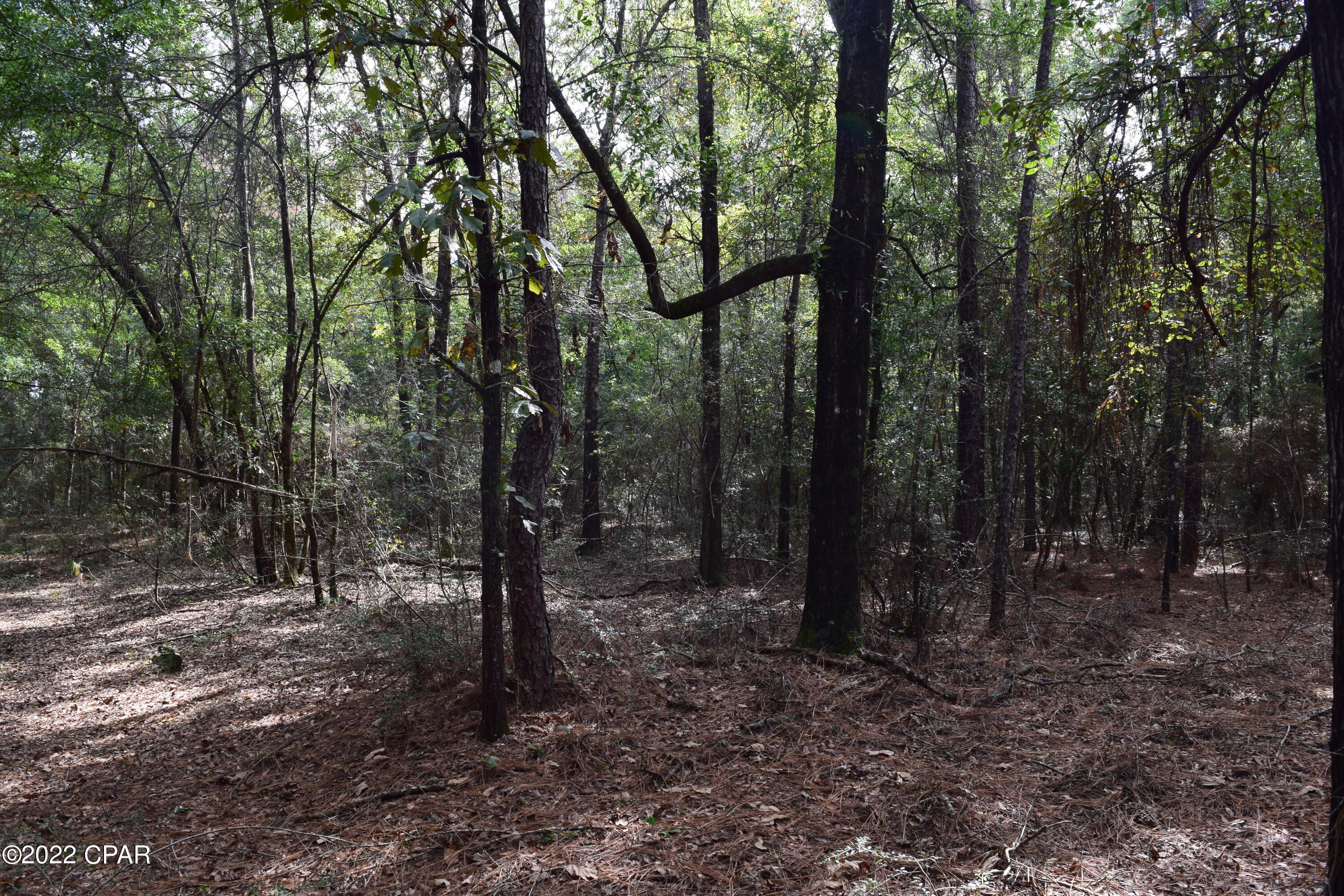 0 State Road 89 Road Jay, FL 32565 - Photo 8 of 27