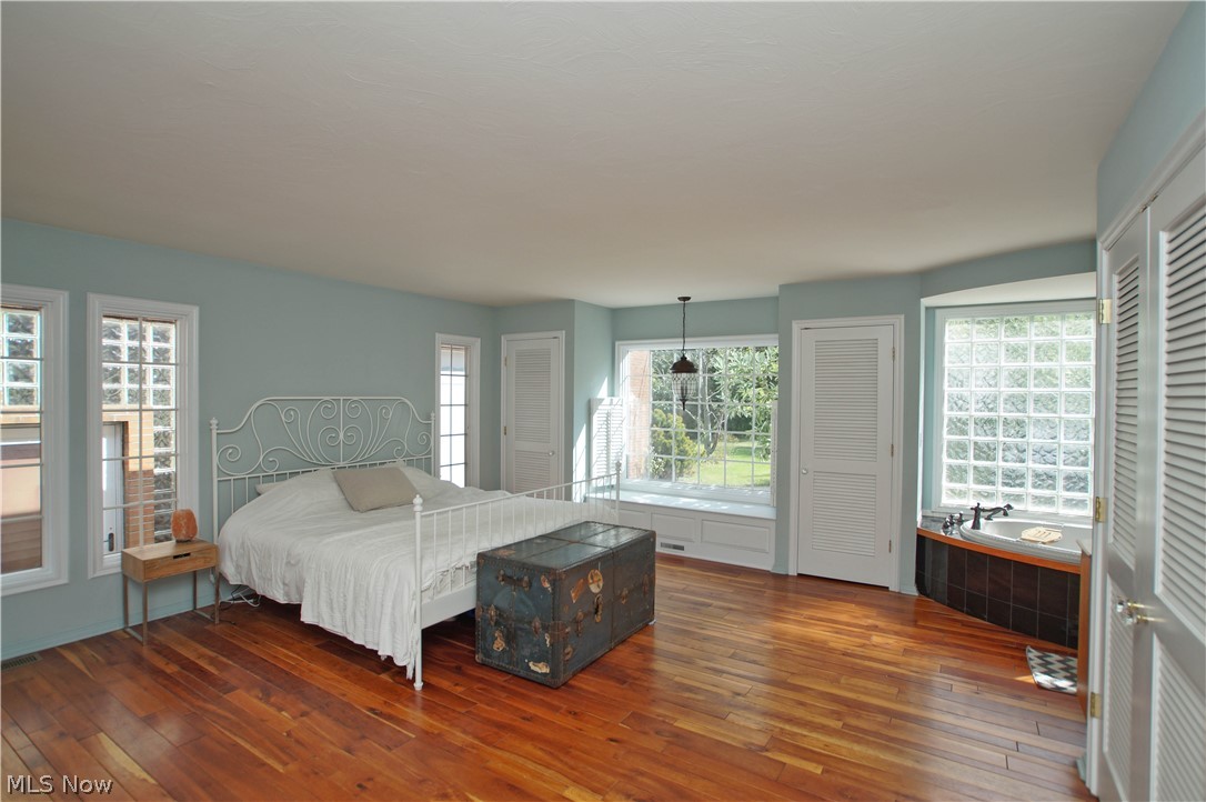 12757 Painesville Warren Road Painesville, OH 44077 - Photo 8 of 11 First floor master bedroom with open style spa tub.