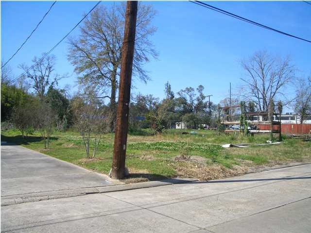 Primary Photo