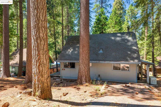 a view of a house with a tree in the yard