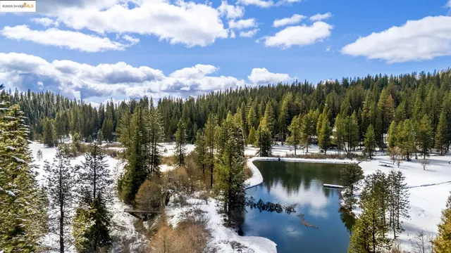 a view of backyard with green space