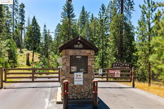a view of swimming pool with a yard and trees in the background