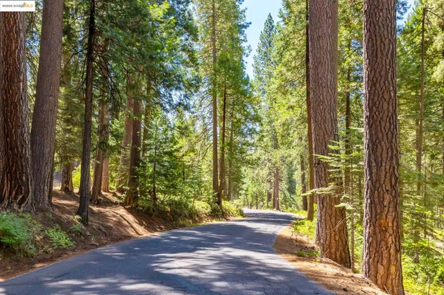 a house with trees in front of it