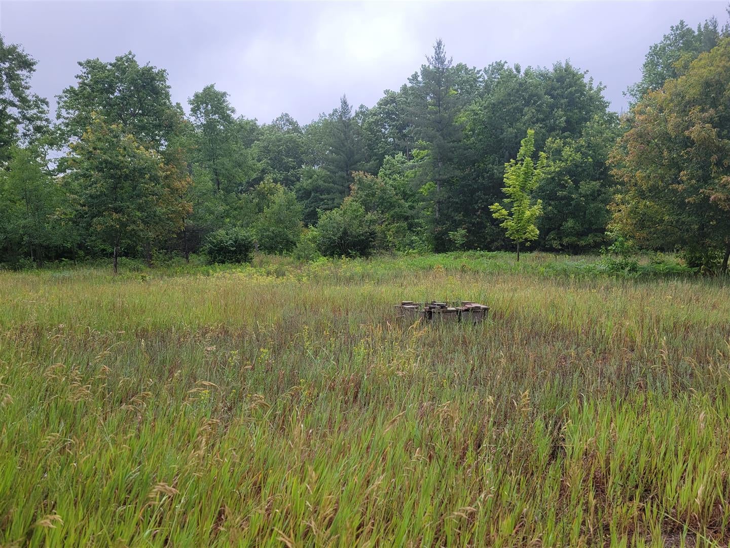 6900 Wolverine Road Wolverine, MI 49799 - Photo 2 of 7 Gallery Image 2