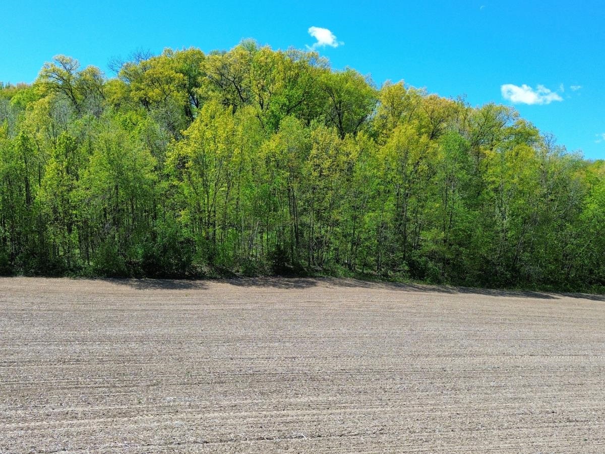 2.33-ac Ski Hill Road Reedsburg, WI 53959 - Photo 11 of 12
