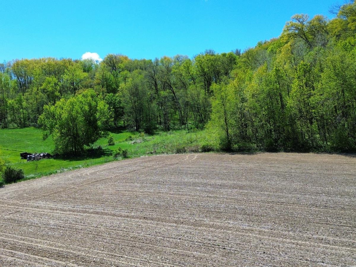 2.33-ac Ski Hill Road Reedsburg, WI 53959 - Photo 9 of 12
