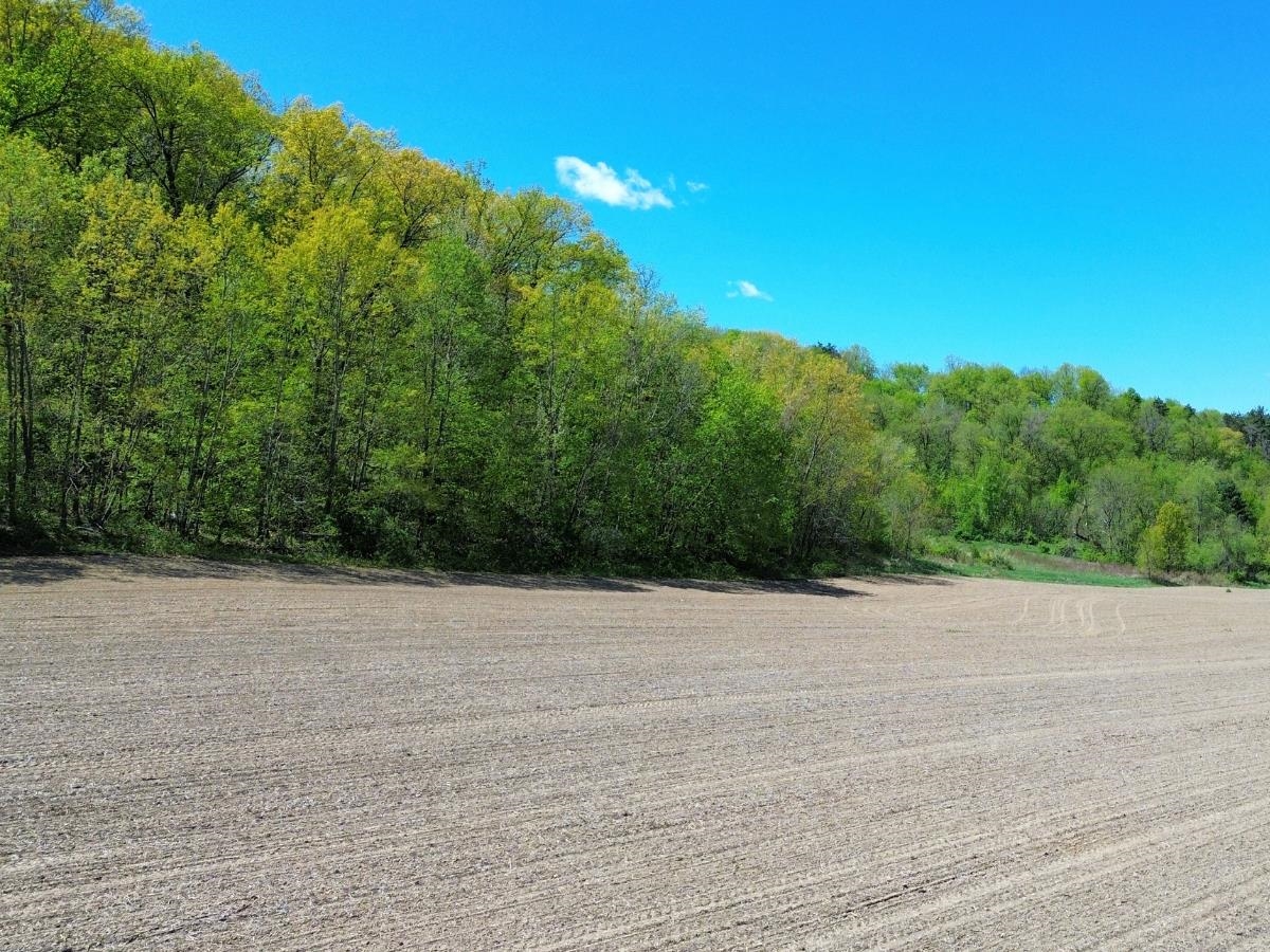 2.33-ac Ski Hill Road Reedsburg, WI 53959 - Photo 10 of 12