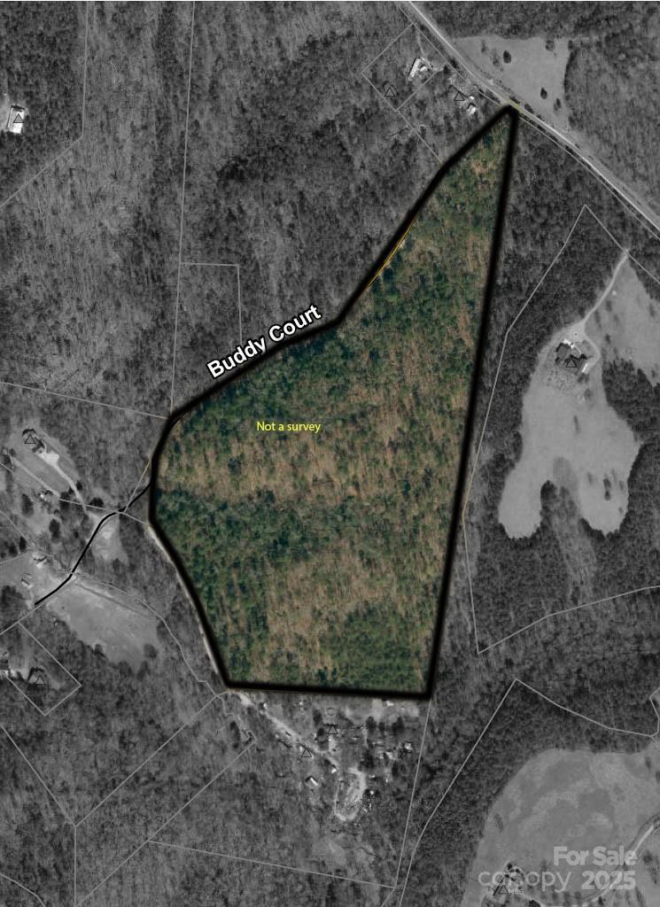 819 Grassy Knob Road Rutherfordton, NC 28139 - Photo 2 of 2 a view of a yard