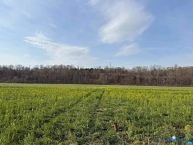 0 Paynes Pond Road Scottsville, VA 24590 - Photo 20 of 44
