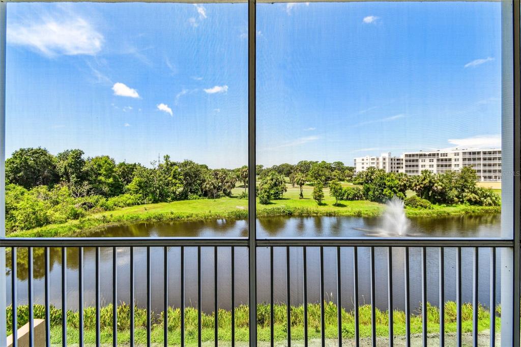 960 Starkey Road, Unit 8204 Largo, FL 33771 - Photo 48 of 94