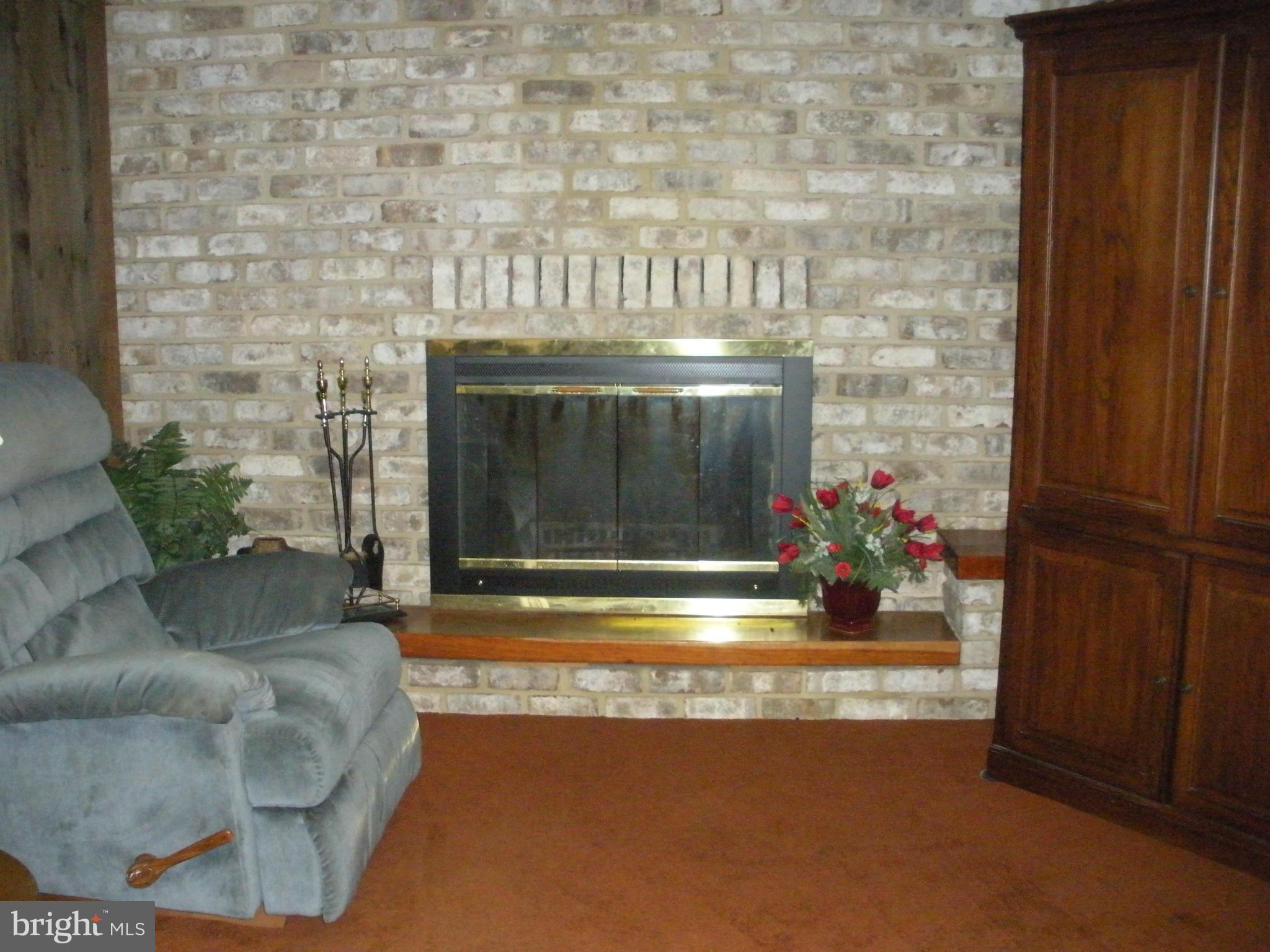 12309 Gramlich Road Southwest La Vale, MD 21502 - Photo 19 of 30 a living room with furniture and a fireplace