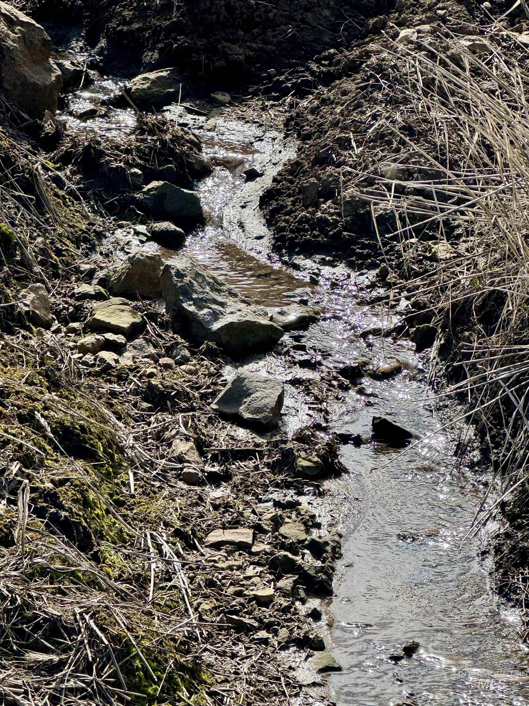 Tbd Settlement Road Lenore, ID 83541 - Photo 11 of 12