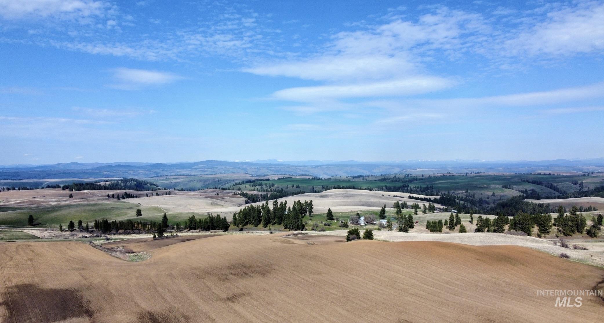 Tbd Settlement Road Lenore, ID 83541 - Photo 4 of 12