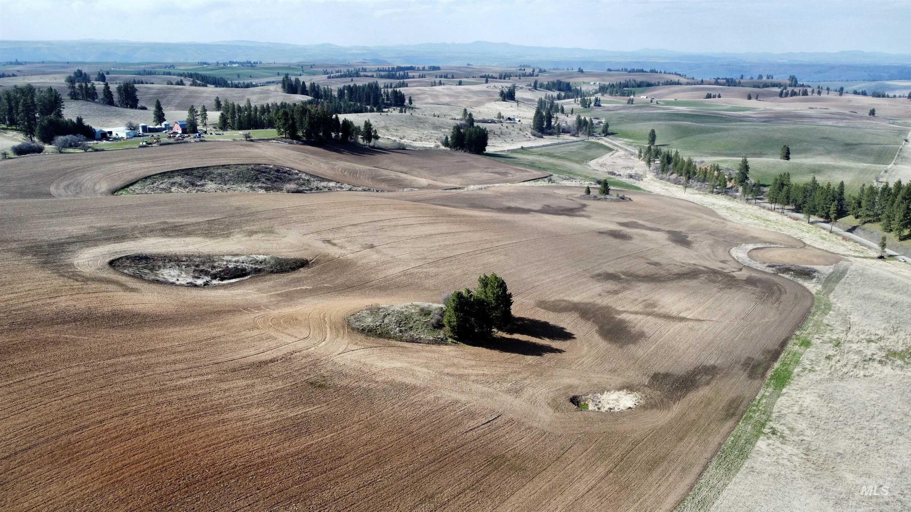 Tbd Settlement Road Lenore, ID 83541 - Photo 5 of 12