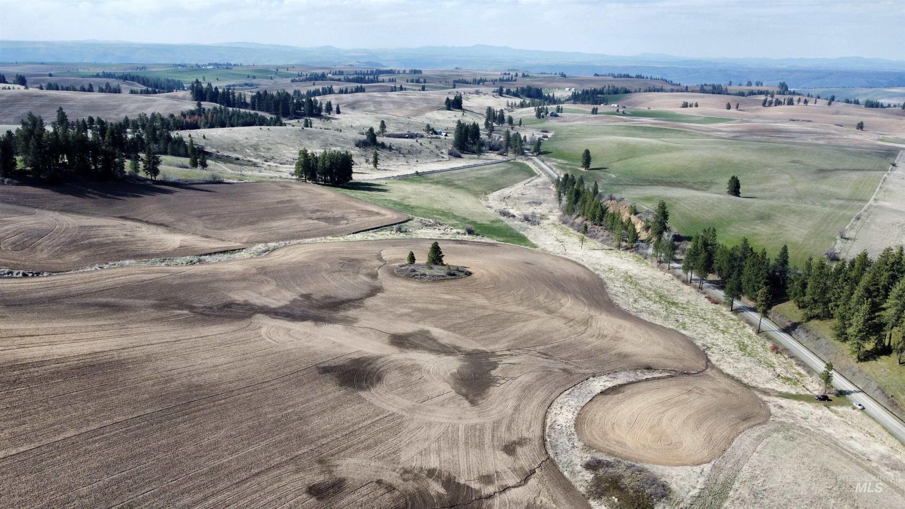 Tbd Settlement Road Lenore, ID 83541 - Photo 7 of 12