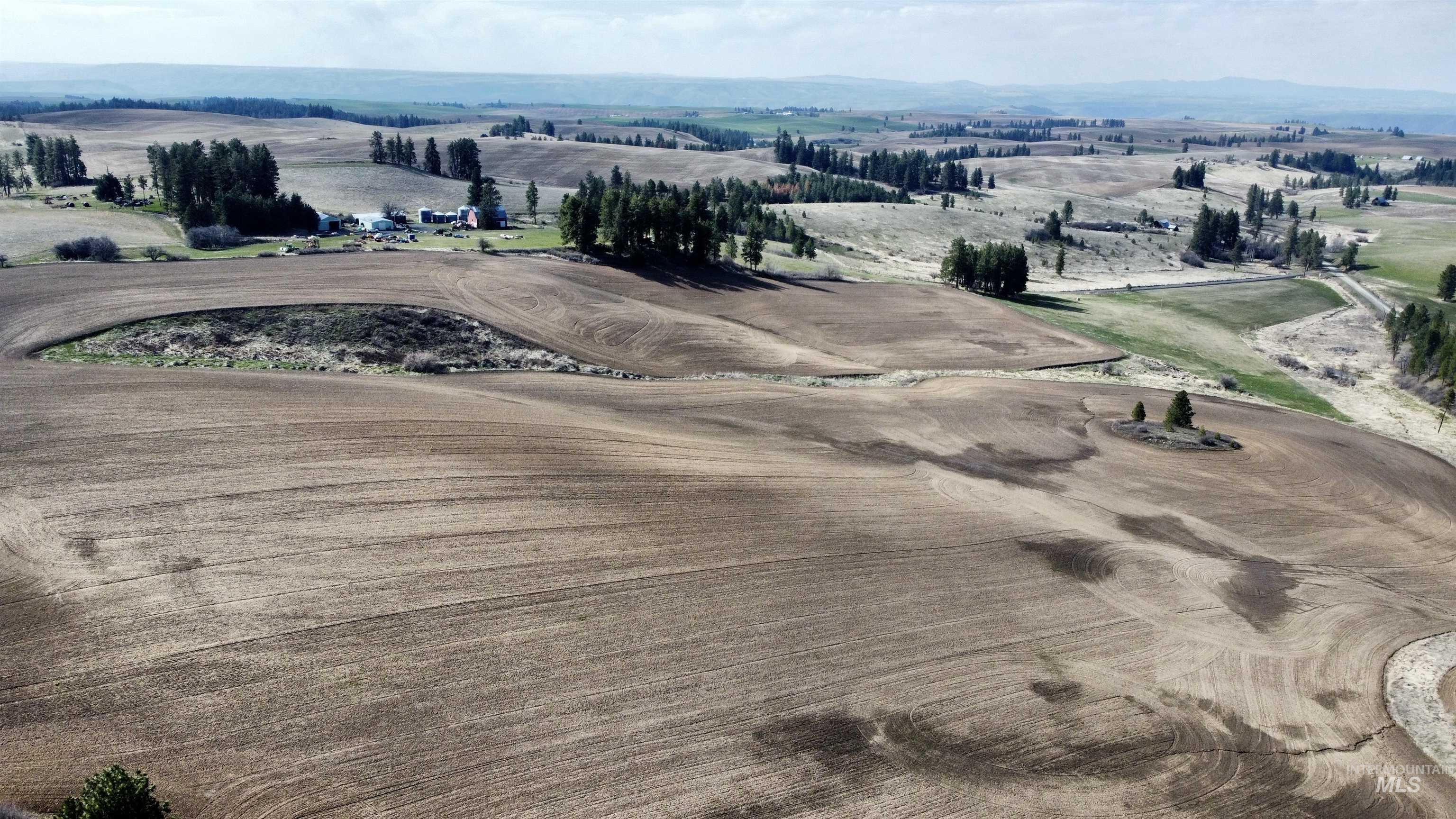 Tbd Settlement Road Lenore, ID 83541 - Photo 8 of 12