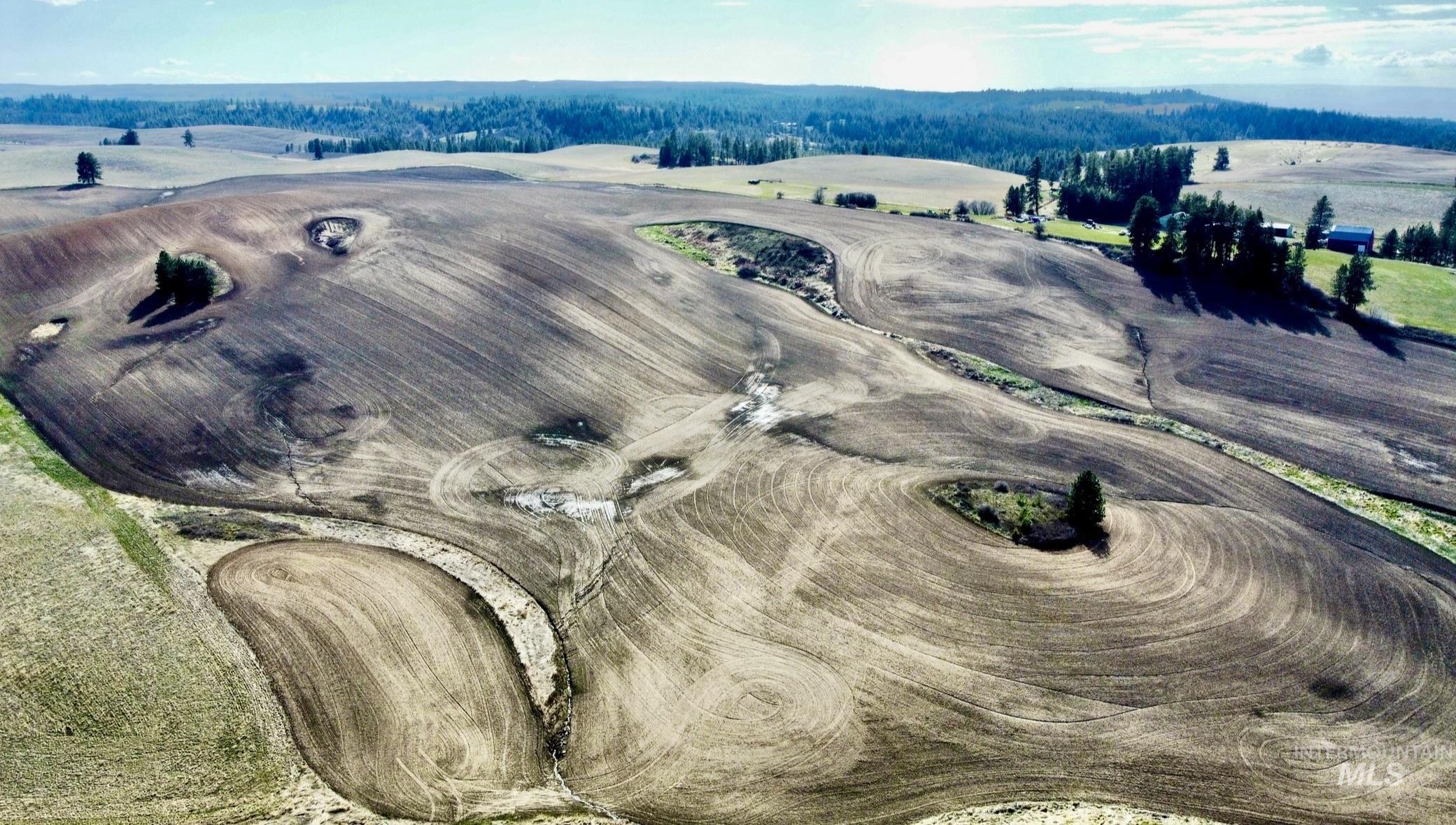 Tbd Settlement Road Lenore, ID 83541 - Photo 9 of 12
