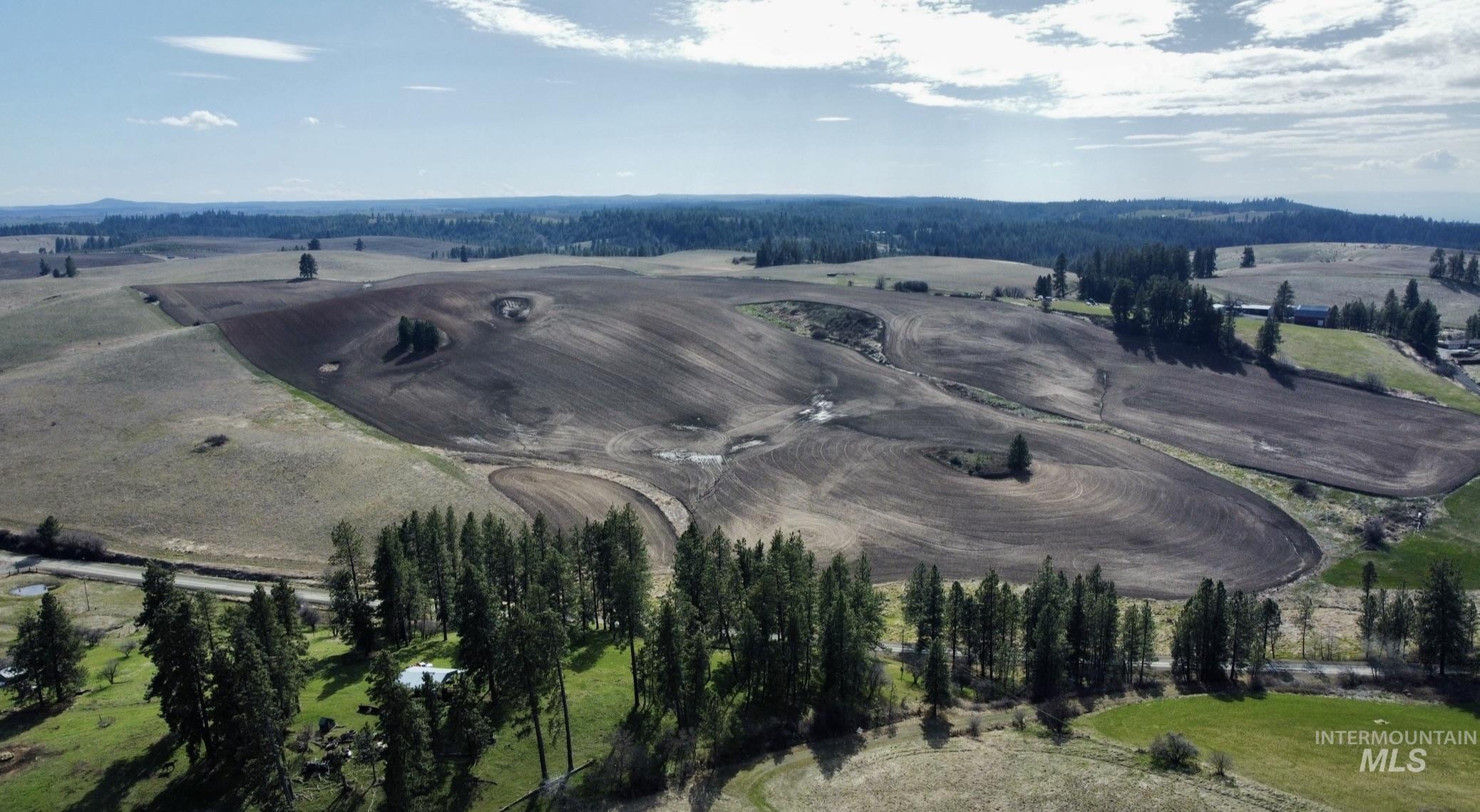 Tbd Settlement Road Lenore, ID 83541 - Photo 10 of 12