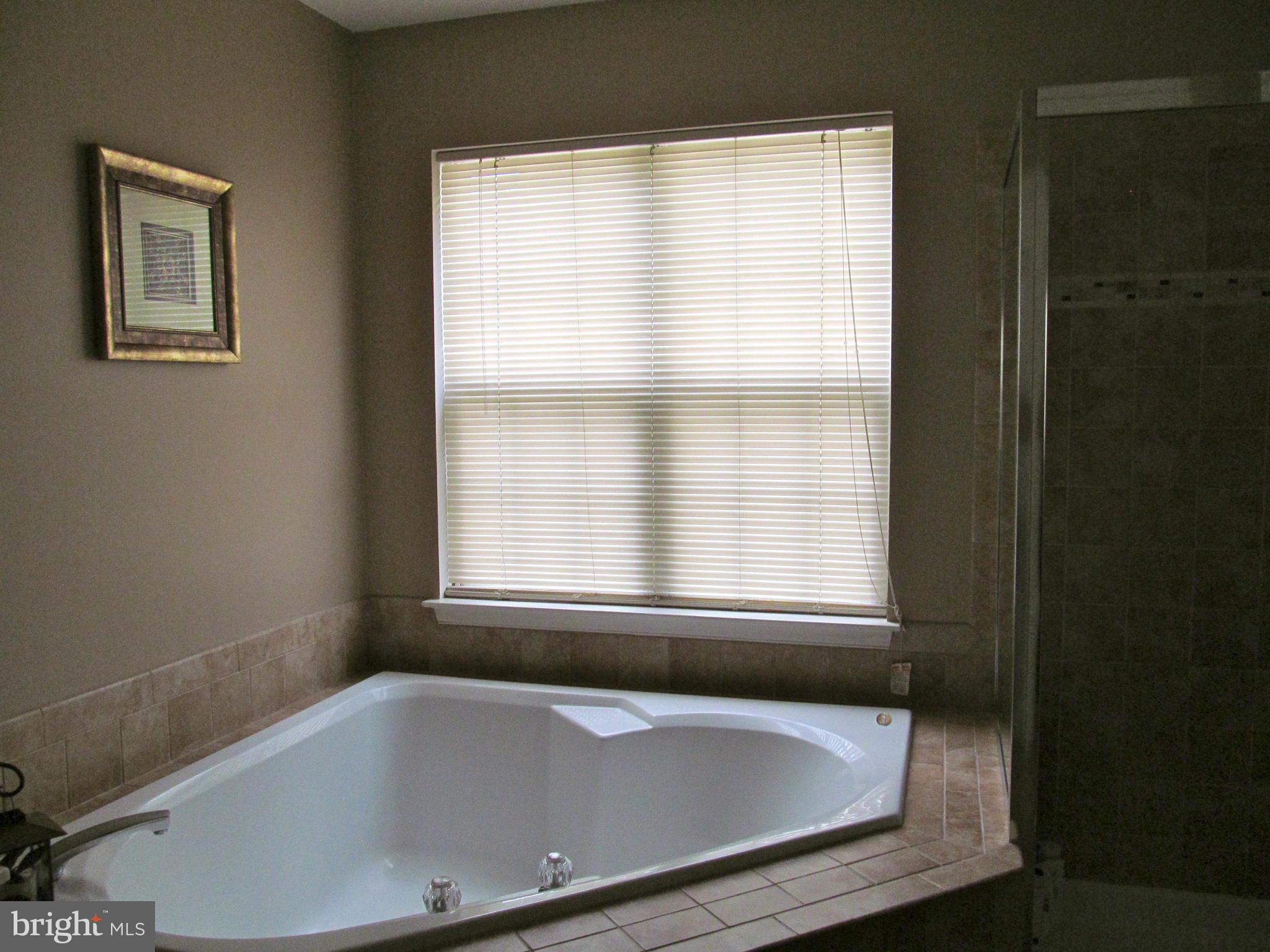 14312 Brass Wheel Road Boyds, MD 20841 - Photo 19 of 28 Bath (Master)
